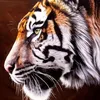 omar.ramos0706