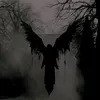 o0_0o80