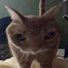 markerito3