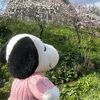 yami_ana2