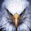 octavio.sulem