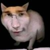 jorden_millar