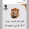 zayoune.ghandi2