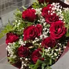 linda.sy19