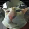 eth6855
