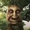 treemuncher61