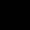 namdan305