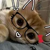 ketyschurbt