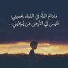yuosefbiskra5