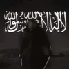 z_am491