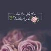 user6088100091004