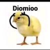 1polito5
