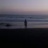 peggy.spammsx