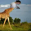 marco_scmclips5