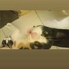 moza_lola