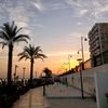 roqaia.anwar1