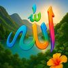 jameel.ahmed.568