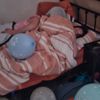 annabella_maucher