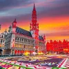 amir.belgique