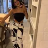 anacastela404