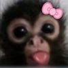 sarahmonkey55