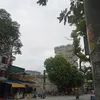 accphucuatao1911