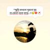 fa.foysal.ahmed80
