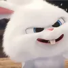 dottoan07