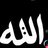 ayesha_75_60