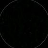 user19818652886362