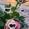 user56801131952957