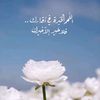 montasermohamed428