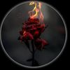 muhammadhussain7631