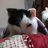 thangtoi_12