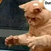 muoncodce