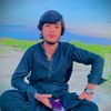 gull.hassnain.ban
