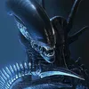 Sektor