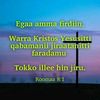 user4072476330186