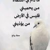 amaliablah