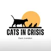 Cats in Crisis East London