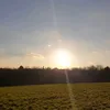 lambojenie5