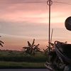 delia_8741