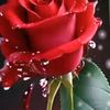 user4135562981880