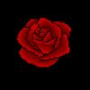user70010110320785