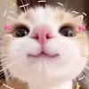 d_nhyyng