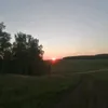 shinzy84