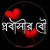 habibaislam373