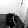 vinzz2311111111