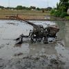 joki.yanmar.85