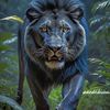 mohamed.zika610
